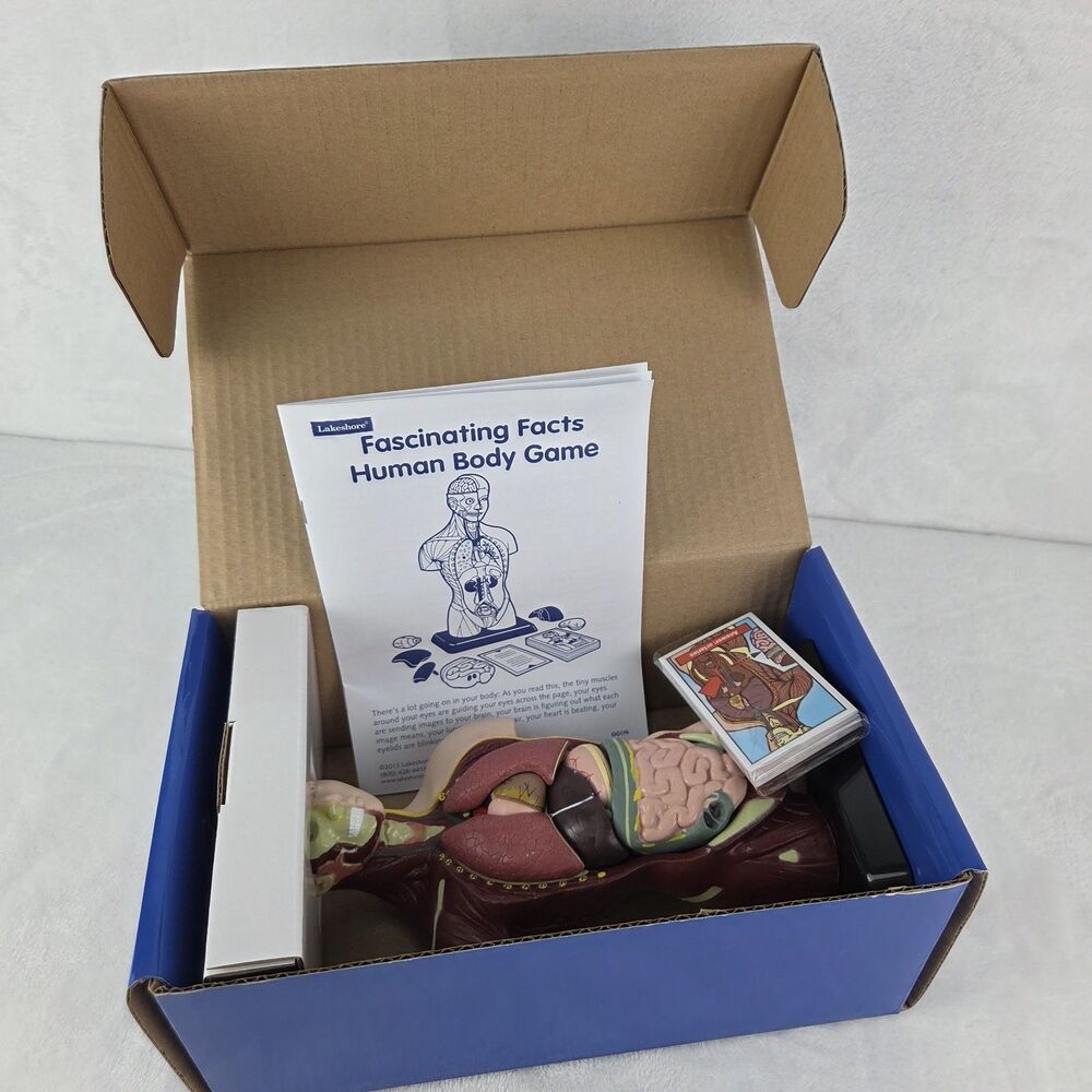 Lakeshore Fascinating Facts Human Body Game Anatomy Model Complete 2013 GG114 - Picture 2 of 13